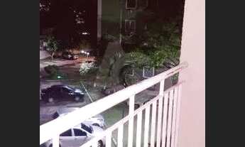 Imagem 6: Apartamento com dois quartos em Irajá