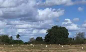 Imagem 7: Vendo 4 Lotes um ao Lado do Outro. Loteamento Onildo Silva Pedra Ferrada