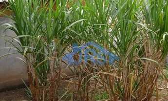 Imagem 2: Sobrado com 1 dormitório para alugar, 146 m² por R$ 1.200,00/mês - Vila São Nicolau - Jand