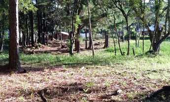 Imagem: Excelente terreno