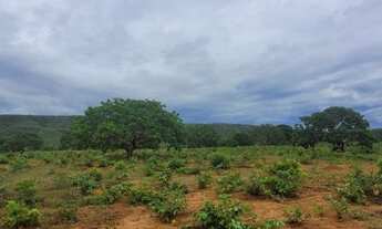 Imagem 2: Oportunidade <br>Excelente fazenda de dupla aptidão na Regiao de Cabeceiras-GO