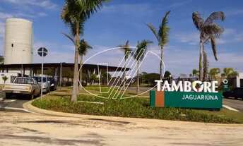 Imagem: Terreno - Duas Marias - Monte Alegre do