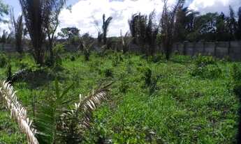 Imagem 5: Vendo Terreno 50mx100m 5.000m²