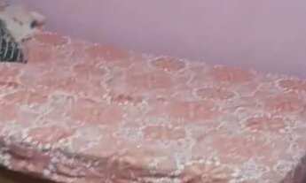 Imagem 3: Vendo casa Casa com 3 dormitórios