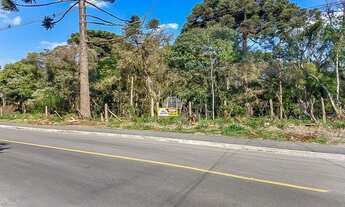 Imagem 6: Terreno Residencial para Venda no Roça Grande em Colombo, 10403m²