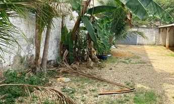 Imagem 5: Alugo este lindo apartamento com dois quartos no bairro Maranhão