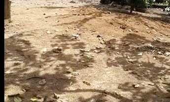 Imagem 5: Sitio com 30 hectares