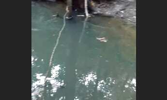 Imagem 5: Terreno Esmeralda Andiroba 10 mil mt²