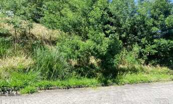 Imagem: Caxias do Sul - Terreno Padrão - São Luiz