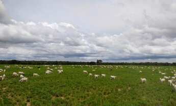 Imagem 5: 147 Alqs Ótima Em Logística Terra e Água Região 70Km Goianorte TO