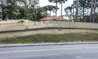 Imagem 5: Terreno com casa à venda, 1574 m² por R$ 1.090.000 - Santa Felicidade