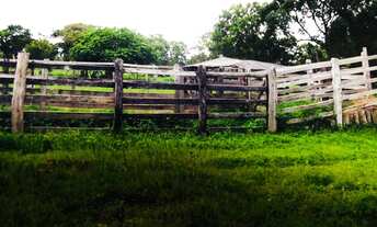 Imagem 6: Fazenda 214 alqueires em Rio Maria
