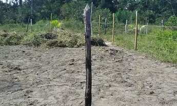 Imagem: TERRENO NA LINHA VERDE MASSARANDUPIÓ