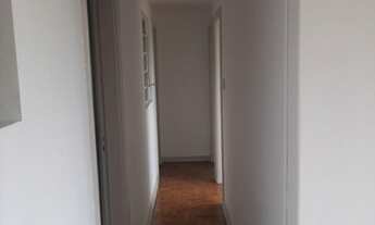 Imagem 6: Raridade no meio da Vila Sta. Cecília