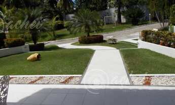 Imagem 5: CASALAURO DE FREITAS