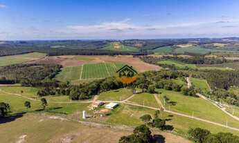 Imagem 6: Terreno à venda, 1000 m² por R$ 140.000,00 - Buriti - Campo do Tenente/PR