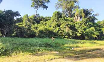Imagem 7: Terrenos a venda em Mariscal em até 60 meses