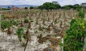 Imagem 6: Terreno top Bezerros