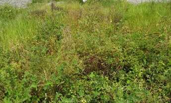 Imagem 6: Excelente terreno no loteamento vista bela Mamanguape - PB