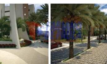 Imagem 7: SãO LUíS - Padrão - COHAB Anil IV