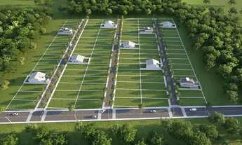 Imagem 4: Terrenos na praia Shangrila PR