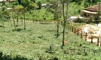 Imagem 3: Terreno localizado na moeda