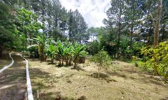 Imagem 7: Incrível Chácara / Sítio 30 mil m2