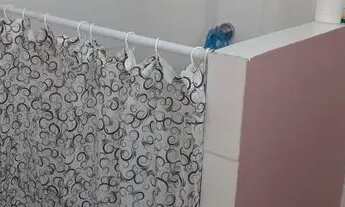 Imagem 6: São Paulo - Casa Padrão - Vila Maria