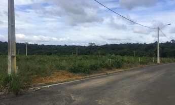 Imagem 3: Lote/Terreno para venda com 200 metros quadrados em Residencial Tropical ...