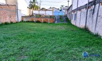 Imagem 4: Terreno à venda na Borda Do Campo - São José dos Pinhais/PR