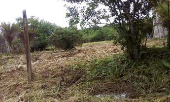 Imagem 2: Vendo Chácara com venda por R$45.000