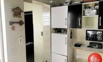 Imagem 6: São Paulo - Casa Padrão - Pinheiros