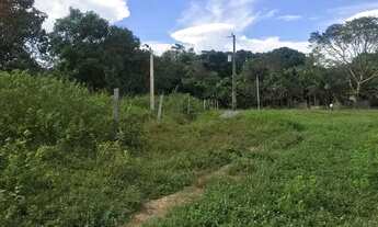 Imagem 4: Fazendas no Tocantins