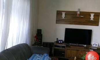 Imagem 3: São Paulo - Casa Padrão - Vila Formosa