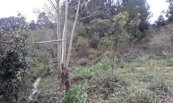Imagem 3: Vendo 4 litros de terreno em agudos do sul