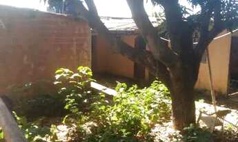 Imagem 3: Metros quadrados com 1 quarto em Taguatinga Sul - Brasília - DF