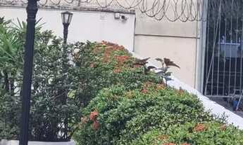 Imagem 3: Apartamento para venda possui 90 metros quadrados com 3 quartos em Copacabana - Rio de Jan