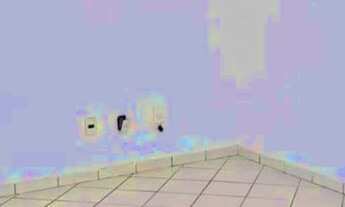 Imagem 2: Apartamento na Vila Olimpia