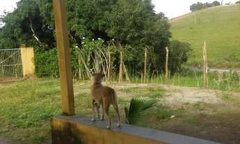 Imagem 4: Vende-se excelente propriedade com 2,5 hectares em Vitoria de Santo Antão-PE