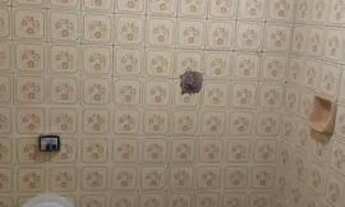 Imagem 6: Casa c garagem individual próximo estação Gianetti