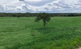 Imagem 7: 147 Alqs Ótima Em Logística Terra e Água Região 70Km Goianorte TO
