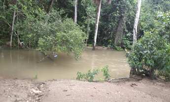 Imagem 7: Vendo fazenda em Santa Rita Tocantins 395 alq