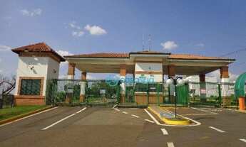 Imagem 2: Terreno Campos do Conde