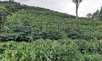 Imagem 4: Vendo chácara Chácara com venda por R$380.000