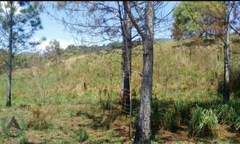 Imagem 5: AREA FRENTE BR 116. 70 MIL MTRS