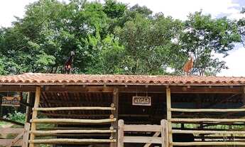 Imagem 7: FAZENDA CAPÃO DA ONÇA !