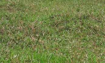 Imagem 6: Vendo excelente lote zona rural de saj