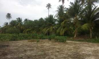 Imagem 4: Lote/Terreno para venda tem 3150 m2 em Corrego do Retiro - Aracati - Ceará