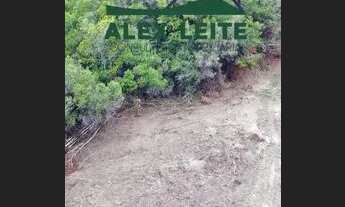 Imagem 2: 4 hectares de terra