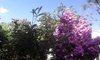 Imagem 7: Lindo Sobrado na Vila São Francisco - São Paulo - SP